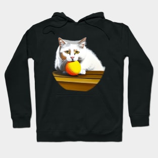 Funny And Cute Cat With A Ball Of Wool Hoodie